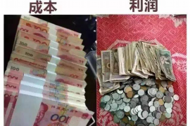 南城为什么选择专业追讨公司来处理您的债务纠纷？